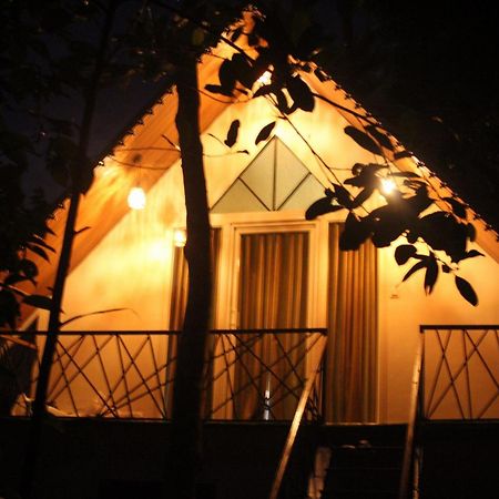 Wood Castle Munnar Pension Buitenkant foto