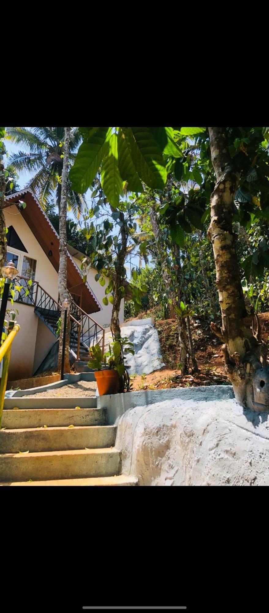 Wood Castle Munnar Pension Buitenkant foto